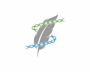 Wall Mural - Feather with DNA Helix surrounding