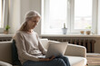 © fizkes - Focused positive retired freelancer working from home, using laptop computer, sitting on couch, typing, making video call. Elder woman using online app for shopping, payment on Internet, telemedicine