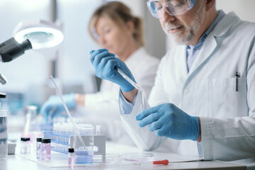 Wall Mural - medical researcher working in the laboratory