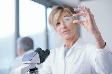 Wall Mural - medical researcher analyzing samples in the lab