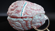 Impressionism in human brain, a concept showing hundreds of crucial words related to Impressionism projected onto a cortex to fully demonstrate broad extent of this condition,3d illustration