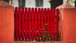 red fence with green fence
