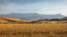 Panorama Of The Amphitheatre, Drakensberg Mountains, Royal Natal National Park, South Africa