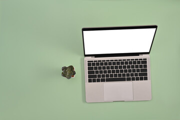 Poster - An empty white screen laptop computer setting next to a cactus over the center of light green as a background Flat lay composition