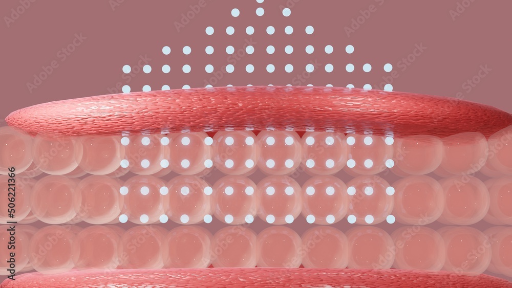 Serum and vitamin drop on skin cell. serum through the skin layer and ...