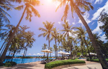 Amazing tropical paradise beach with swimming pools and coconut palms