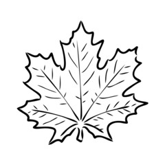 fall leaf clipart, black and white leaf drawing, vector clipart
