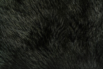 Wall Mural - faux fur texture closeup