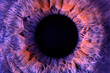 © Serenkonata - Macro photo of colored purple human eye texture background. extreme blue eye macro shot. Toned eye lens