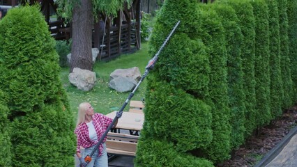 Wall Mural - Beautiful woman in red plaid shirt using electric trimmer for cutting green hedge at backyard. Above view of pretty blond female taking care huge tuja with bush cutter outdoors. Concept of topiary. 