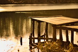 Fototapeta Fototapety pomosty - Wiosenny krzywy naturalny pomost nad wodą, płynąca kaczka w tle.