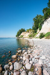 Wall Mural - white chalk cliff at the jasmund national park on the island of rügen, mecklenburg-vorpommern, germa
