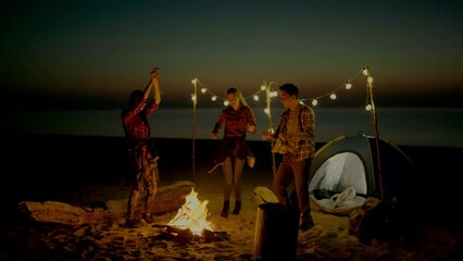group of young people having camp on the beach at night