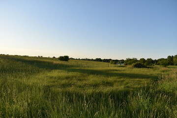 Canvas Print - Field