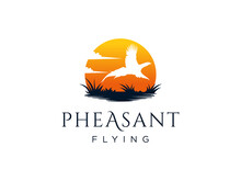 Beauty Flying Pheasant Silhouette Logo Design. Usable For Business And Branding Logos. Flat Vector Logo Design Template Element.