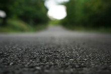 Recreational Asphalt Path For Jogging And Cycling In Summer Green Park. Selective Focus. Low Shooting Point