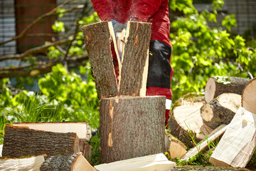 Wall Mural - Logger. Chop wood. Chop wood on a sunny summer day. Logger.