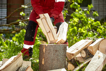 Wall Mural - Logger. Chop wood. Chop wood on a sunny summer day. Logger.