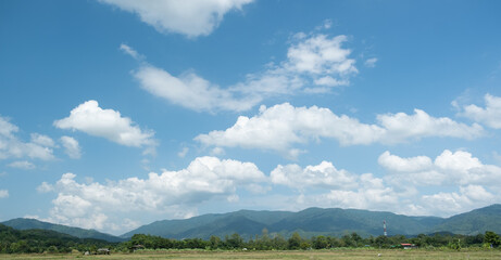 Wall Mural - the white clouds have a quaint and rural shape. the sky is cloudy and blue