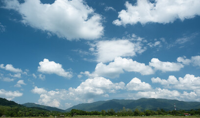 Wall Mural - The white clouds have a quaint and rural shape. The sky is cloudy and blue