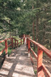 Drewniany mostek w leśnej ścieżce