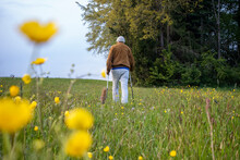 Senior Man Walking With Hiking Poles In Meadow
