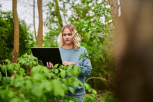 Freelancer Working On Laptop Amidst Trees In Woodland