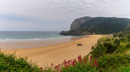 Wall Mural - view of the picturesque bay and beach of Laga in the Spanish Basque Country