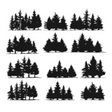 Fototapeta Las - Pine Trees Silhouettes Vector Illustration