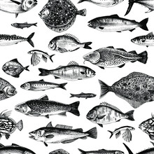 Hand Drawn Seamless Pattern With Different Types Of Edible Sea Fishes. Vector Illustration Made With Clipping Mask. Perfect For Apparel, Fabric, Textile, Wrapping Paper.