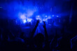 © dechevm - Silhouettes of concert crowd in front of blue stage lights. Fans during a life concert