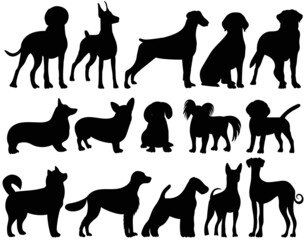 Wall Mural - set of dog silhouette, on white background, isolated, vector