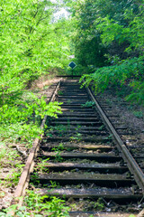 Wall Mural - the end of old rails