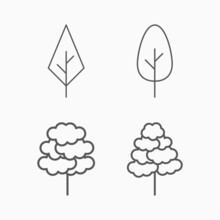 Tree Icon, Plant Vector, Wood Illustration