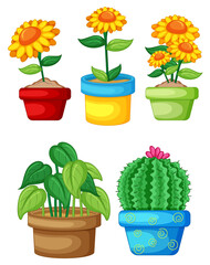 Wall Mural - Set of different plants in pots