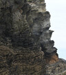Detail of the strata of cliffs at Whipsiderry Beach Newquay Cornwall