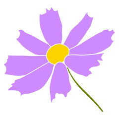 Wall Mural - Single cosmos flower vector simple illustration isolated on white background. Hand drawn colored version. Floral vector for childrens illustration, summer design, screen printing.