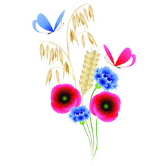 Wall Mural - Bouquet of wild flowers and spikelets with butterflies on a white background.