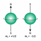 Fototapeta  - quantum spin number diagram vector illustration isolated on white background