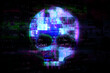 © Who is Danny - Human skull on glitched screen background. Computer virus, hacker or malware software, phishing attack danger, death in internet concept with skull, digital glitch pixels and lines.