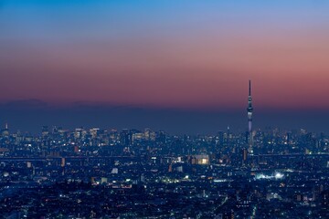 Wall Mural - The streets of Tokyo Japan at Night