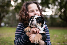 Pet Bulldog Puppy Held By Child Outside