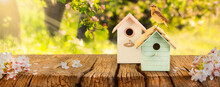 Two Colorful Bird Houses With Little Bird On A Wooden Table In A Blooming Orchard With Sunlight Rays