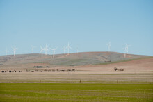 Grassland With Wind Turbines On Hilltop