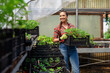 © zorandim75 - Beautiful female nursery worker working in greenhouse