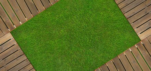 Poster - green grass texture - well-groomed turf in the garden