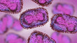 Monkeypox viruses, microscopic pathogen closeup, infectious zoonotic disease