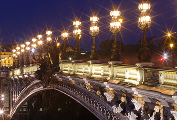 Poster - The famous Alexandre III bridge at night, Paris, France