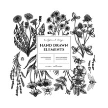 Tea Herbs Square Card Or Invitation Design. Frame Design With Chamomile, Cinnamon Rose, Etc.