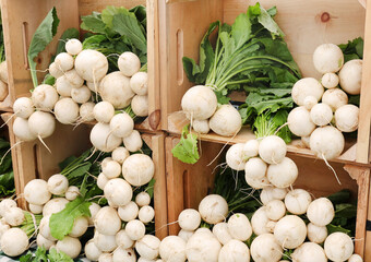 Wall Mural - boxes of turnips 